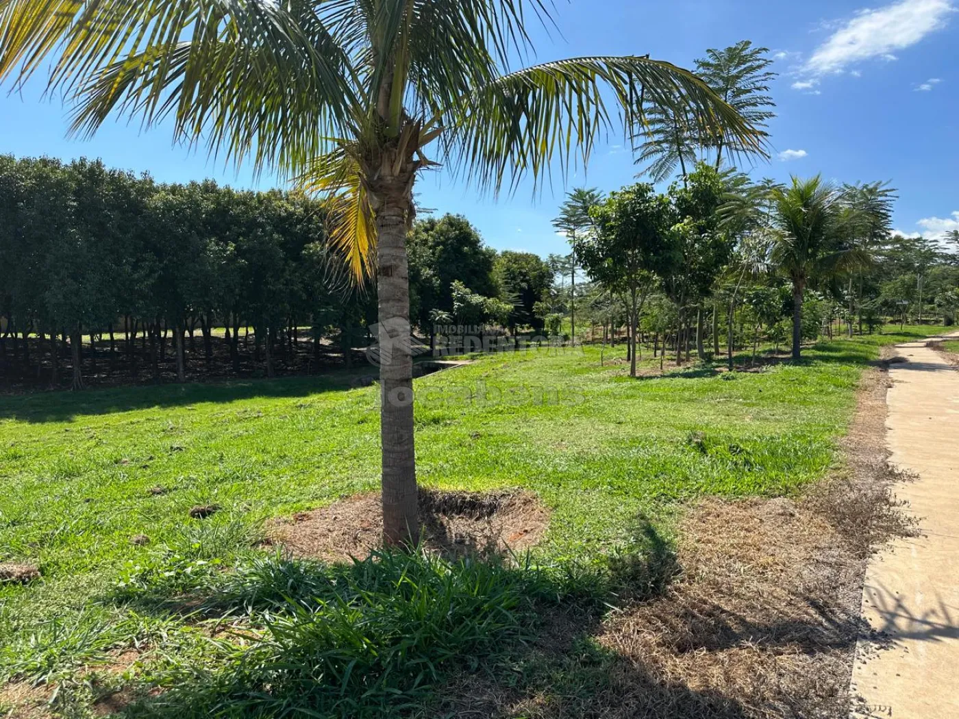 Comprar Terreno / Condomínio em Zacarias R$ 160.000,00 - Foto 8