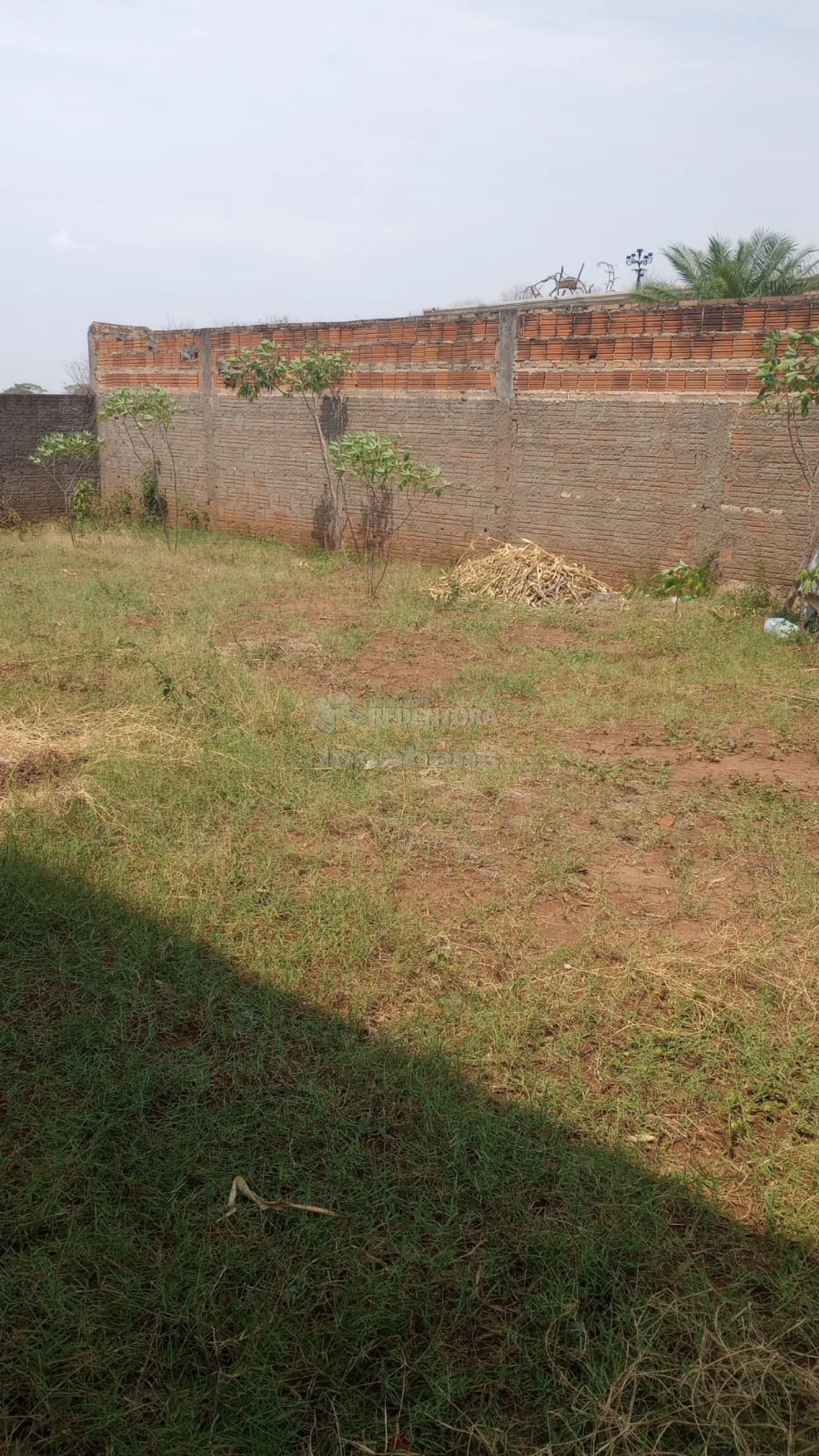 Comprar Rural / Chácara em Cedral R$ 370.000,00 - Foto 13