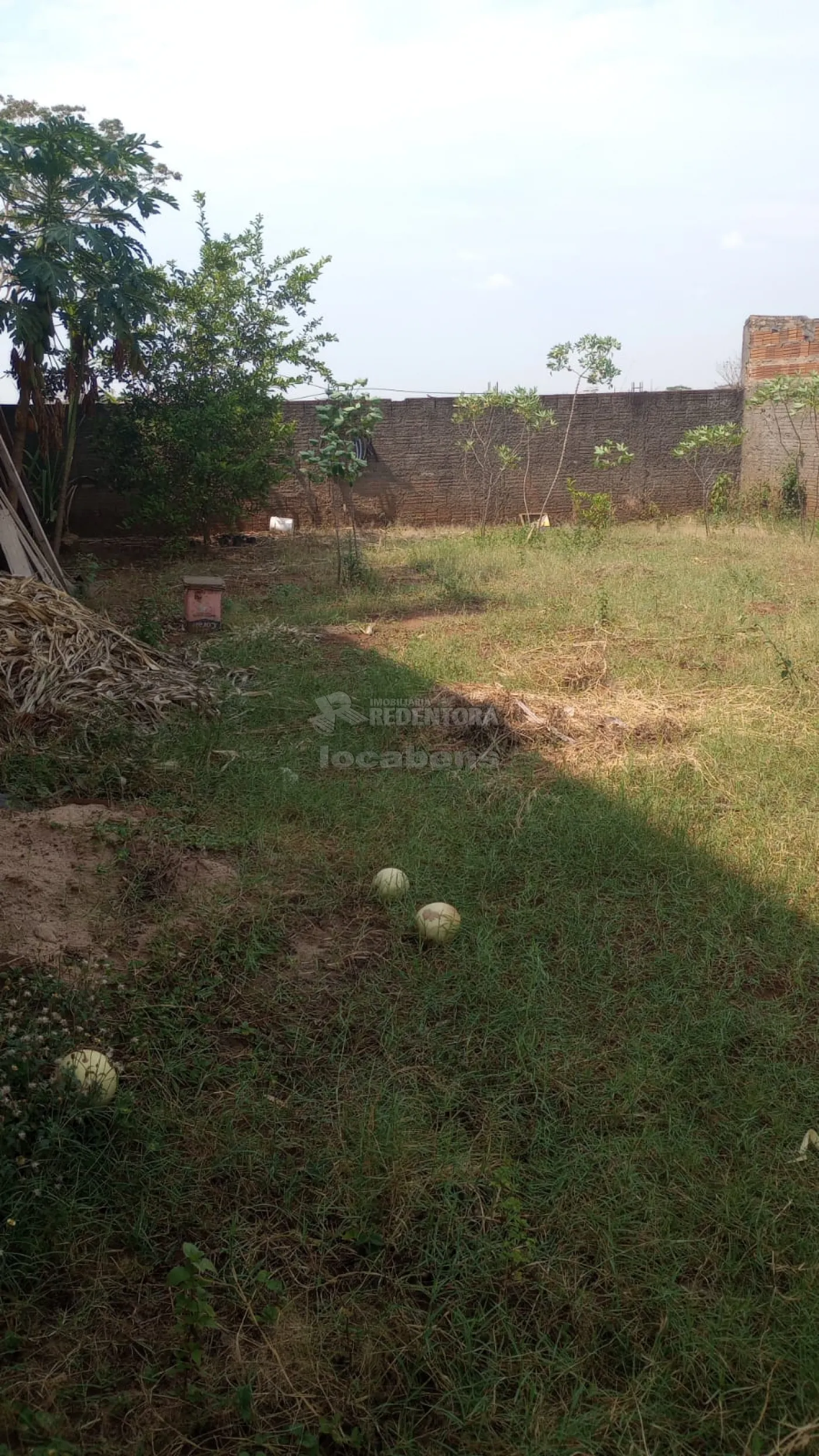 Comprar Rural / Chácara em Cedral R$ 370.000,00 - Foto 14