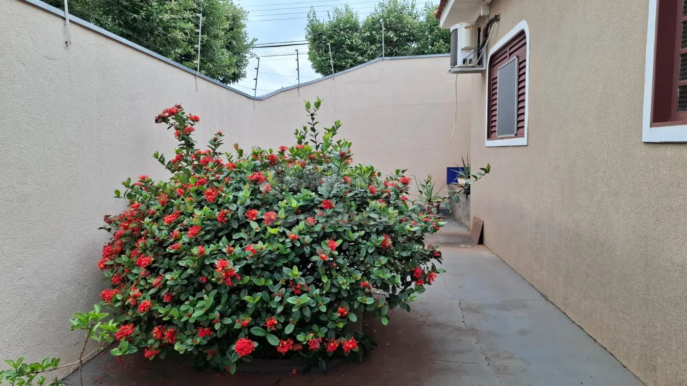 Comprar Casa / Padrão em São José do Rio Preto R$ 440.000,00 - Foto 31