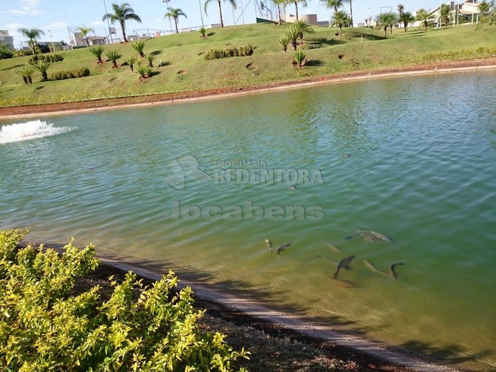 Alugar Casa / Condomínio em São José do Rio Preto R$ 9.500,00 - Foto 64