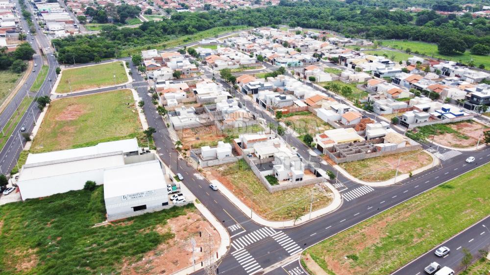 Comprar Terreno / Padrão em São José do Rio Preto - Foto 35