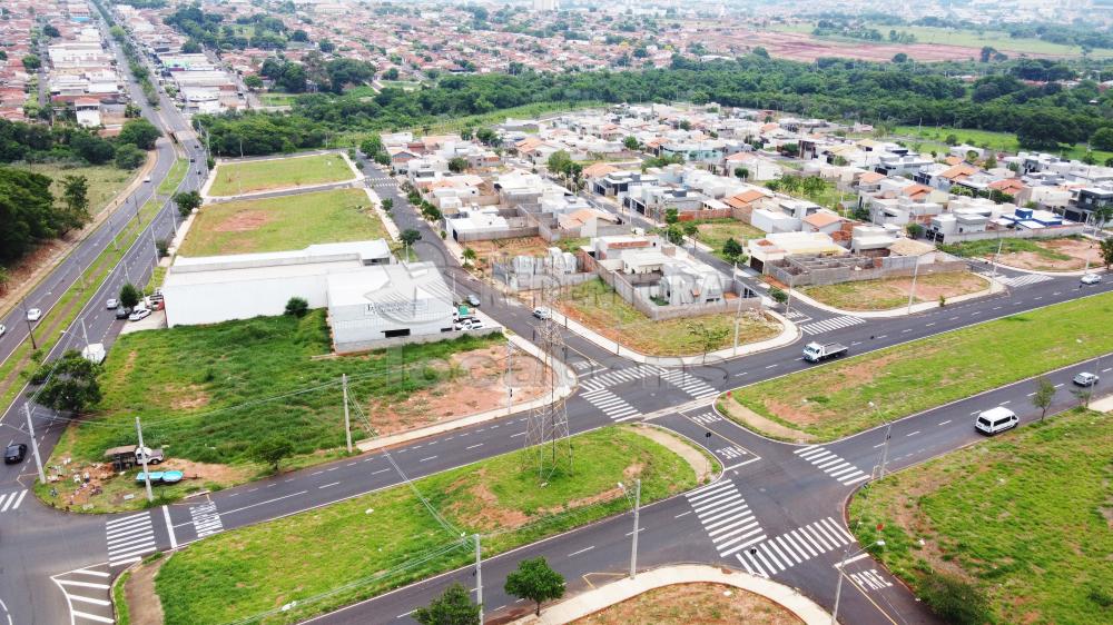 Comprar Terreno / Padrão em São José do Rio Preto - Foto 39