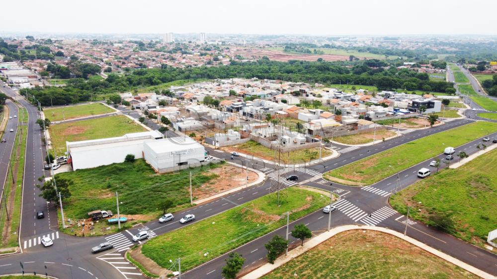 Comprar Terreno / Padrão em São José do Rio Preto - Foto 28