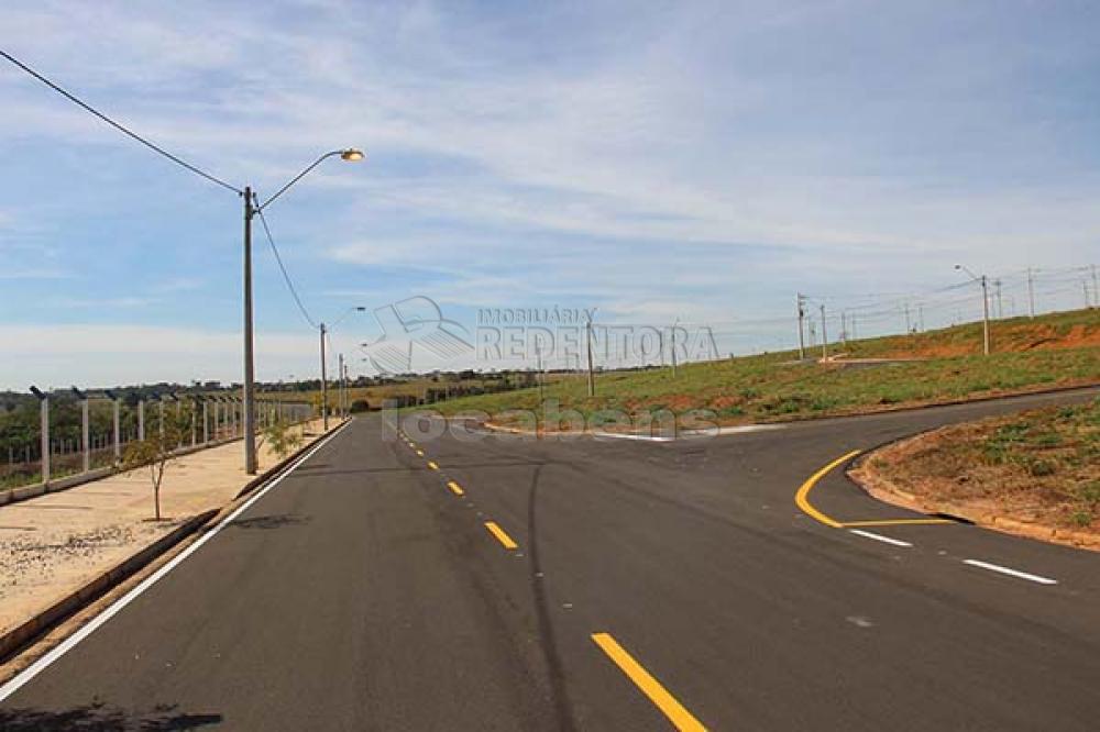 Comprar Terreno / Padrão em São José do Rio Preto - Foto 10