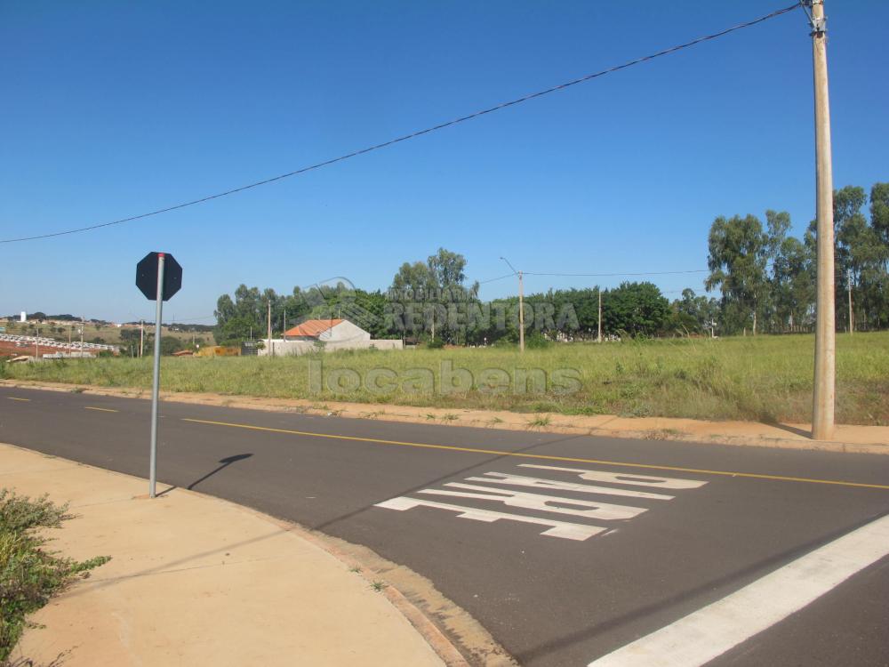 Comprar Terreno / Padrão em São José do Rio Preto R$ 100.000,00 - Foto 10