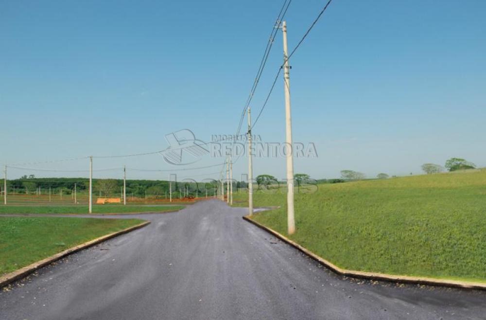 Comprar Terreno / Padrão em Palestina R$ 40.300,00 - Foto 9