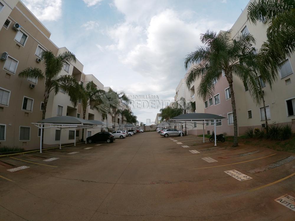 Alugar Apartamento / Padrão em São José do Rio Preto R$ 1.100,00 - Foto 16