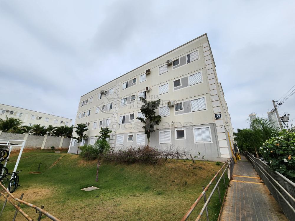 Alugar Apartamento / Padrão em São José do Rio Preto R$ 600,00 - Foto 15