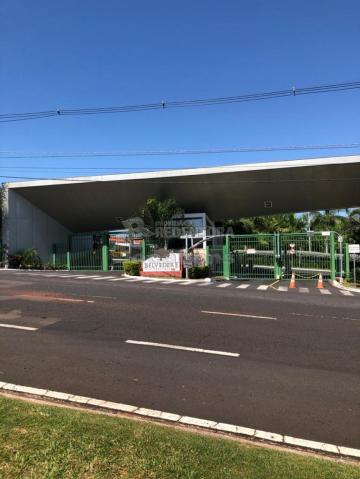 Alugar Casa / Condomínio em São José do Rio Preto R$ 1.900,00 - Foto 19