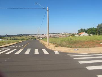 imagem 5 - Terreno - Padrão imagem 5 - Terreno - Padrão
