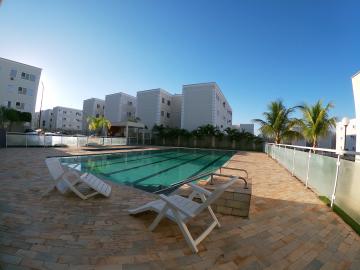 Alugar Apartamento / Padrão em São José do Rio Preto apenas R$ 850,00 - Foto 11