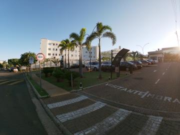 Alugar Apartamento / Padrão em São José do Rio Preto apenas R$ 850,00 - Foto 14