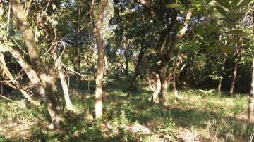 imagem 4 - Terreno / Área À venda  com 5.670 m³ na Estância Gramado (Zona Rural) imagem 4 - Terreno / Área À venda  com 5.670 m³ na Estância Gramado (Zona Rural)