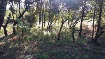 imagem 5 - Terreno / Área À venda  com 5.670 m³ na Estância Gramado (Zona Rural) imagem 5 - Terreno / Área À venda  com 5.670 m³ na Estância Gramado (Zona Rural)
