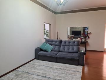 Comprar Casa / Padrão em São José do Rio Preto R$ 1.400.000,00 - Foto 16