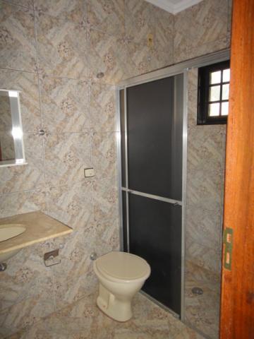 Alugar Casa / Sobrado em São José do Rio Preto R$ 1.200,00 - Foto 11
