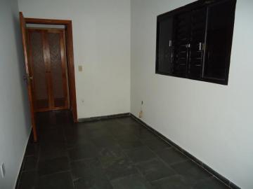 Alugar Casa / Sobrado em São José do Rio Preto R$ 1.200,00 - Foto 18