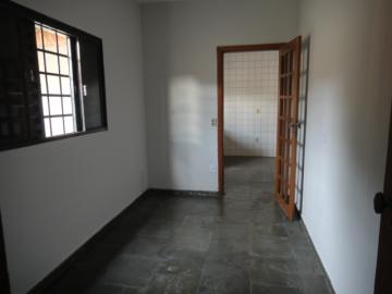Alugar Casa / Sobrado em São José do Rio Preto R$ 1.200,00 - Foto 41