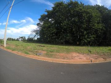 imagem 2 - Terreno - Padrão imagem 2 - Terreno - Padrão
