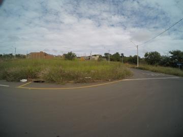 Terreno / Padrão em São José do Rio Preto 