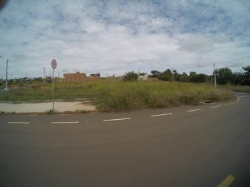 imagem 2 - Terreno - Padrão imagem 2 - Terreno - Padrão