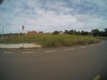 Comprar Terreno / Padrão em São José do Rio Preto apenas R$ 140.000,00 - Foto 2