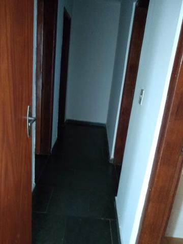 Alugar Apartamento / Padrão em São José do Rio Preto R$ 800,00 - Foto 12