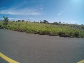 Alugar Terreno / Padrão em São José do Rio Preto. apenas R$ 209.000,00