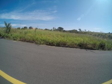 Terreno / Padrão em São José do Rio Preto 