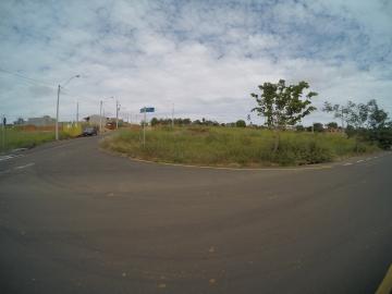 Terreno / Padrão em São José do Rio Preto 