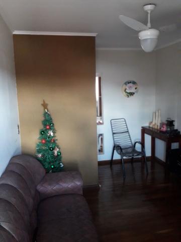 imagem 1 - Apartamento 03 Dormitórios Jardim Ouro Verde imagem 1 - Apartamento 03 Dormitórios Jardim Ouro Verde