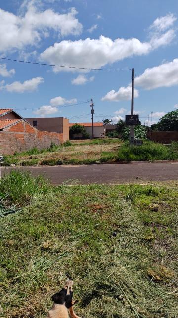 imagem 4 - Terreno - Padrão imagem 4 - Terreno - Padrão