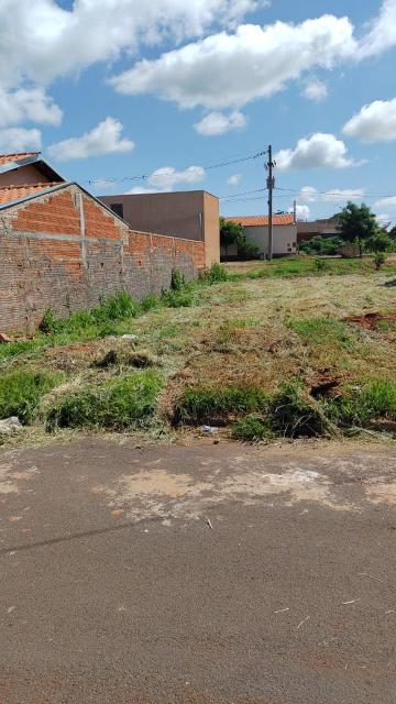 imagem 5 - Terreno - Padrão imagem 5 - Terreno - Padrão