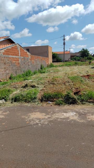 Comprar Terreno / Padrão em Palestina R$ 50.000,00 - Foto 5