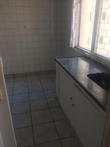 Alugar Apartamento / Padrão em São José do Rio Preto R$ 550,00 - Foto 4