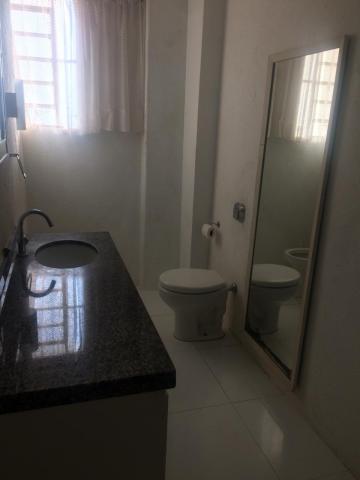 Alugar Apartamento / Padrão em São José do Rio Preto R$ 550,00 - Foto 12