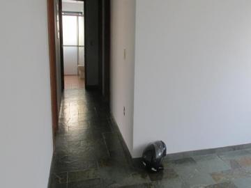 Alugar Apartamento / Padrão em São José do Rio Preto R$ 839,68 - Foto 5