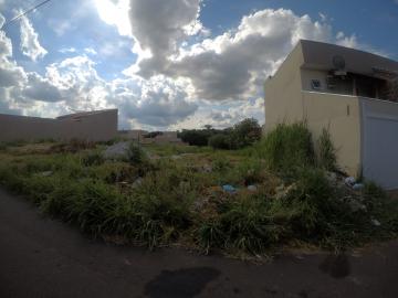 imagem 1 - Terreno em Bady Bassitt com 247m² em ótima localização imagem 1 - Terreno em Bady Bassitt com 247m² em ótima localização