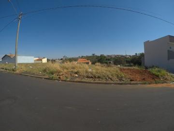 Comprar Terreno / Padrão em Bady Bassitt R$ 75.000,00 - Foto 2