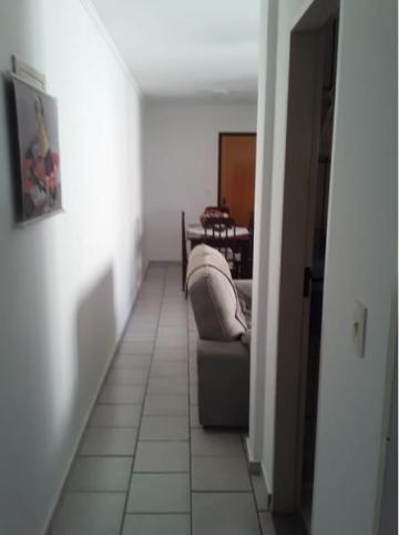 Comprar Apartamento / Padrão em São José do Rio Preto apenas R$ 170.000,00 - Foto 3