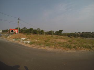 Comprar Terreno / Área em São José do Rio Preto R$ 7.000.000,00 - Foto 17