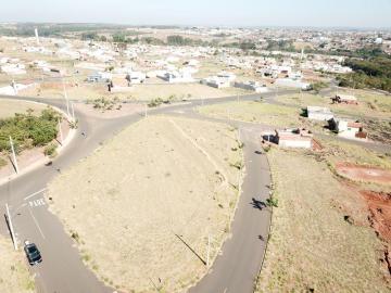 Comprar Terreno / Área em Bady Bassitt R$ 1.000.000,00 - Foto 13