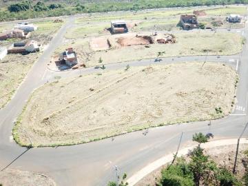 Comprar Terreno / Área em Bady Bassitt apenas R$ 1.000.000,00 - Foto 16