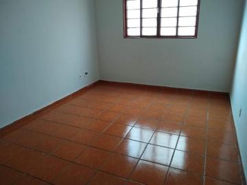 Alugar Apartamento / Padrão em São José do Rio Preto. apenas R$ 850,00