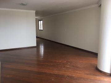 Alugar Apartamento / Padrão em São José do Rio Preto apenas R$ 1.950,00 - Foto 3