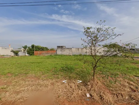 Terreno / Padrão em Bady Bassitt 