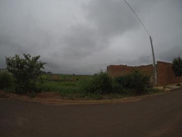 imagem 4 - Terreno em Bady Bassitt com 234m² imagem 4 - Terreno em Bady Bassitt com 234m²