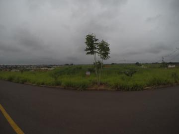 imagem 3 - Terreno de 232m² em Bady Bassitt - SP imagem 3 - Terreno de 232m² em Bady Bassitt - SP