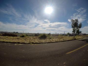 imagem 5 - Terreno de 232m² em Bady Bassitt - SP imagem 5 - Terreno de 232m² em Bady Bassitt - SP